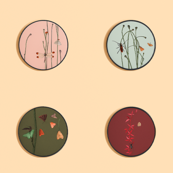 Whispering Wings Wall Art