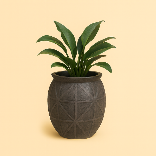 Natura Essence Pot.2PCS SET