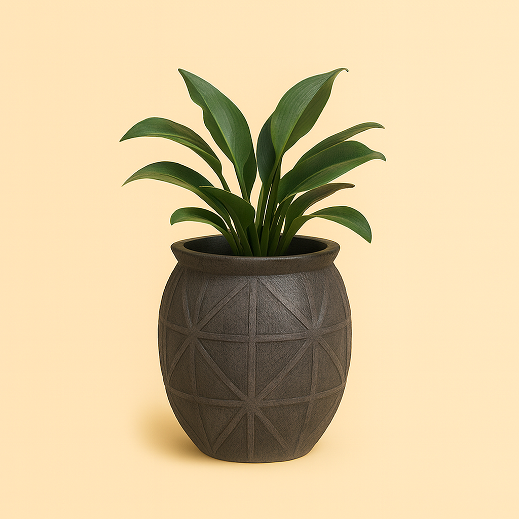 ChatGPT Image Sep 29, 2025, 09_59_20 PM